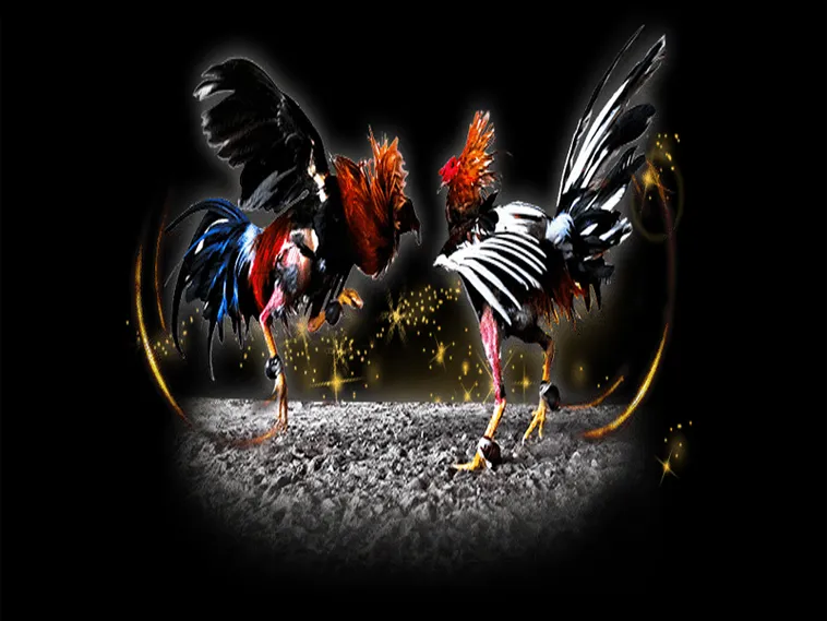 Bật Mí Cách Chơi Đá Gà Sabong Tại E2BET Thắng Lớn Mỗi Ngày 2 Bật Mí Cách Chơi Đá Gà Sabong Tại E2BET Thắng Lớn Mỗi Ngày