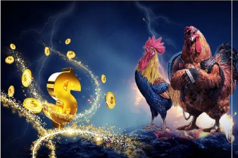Đá Gà E2BET Trực Tiếp Thomo Đỉnh Cao Có Gì Mà Hấp Dẫn Thế 1 Đá Gà E2BET Trực Tiếp Thomo Đỉnh Cao Có Gì Mà Hấp Dẫn Thế