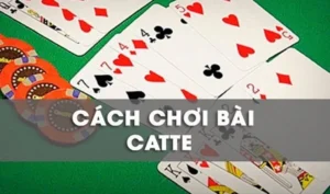 Cách Chơi Sắc Tê Nhà Cái E2BET Luôn Thắng Cho Người Mới 8 Cách Chơi Sắc Tê Nhà Cái E2BET Luôn Thắng Cho Người Mới